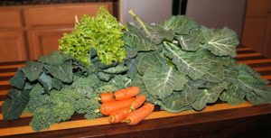 Healthy fats in vegetables